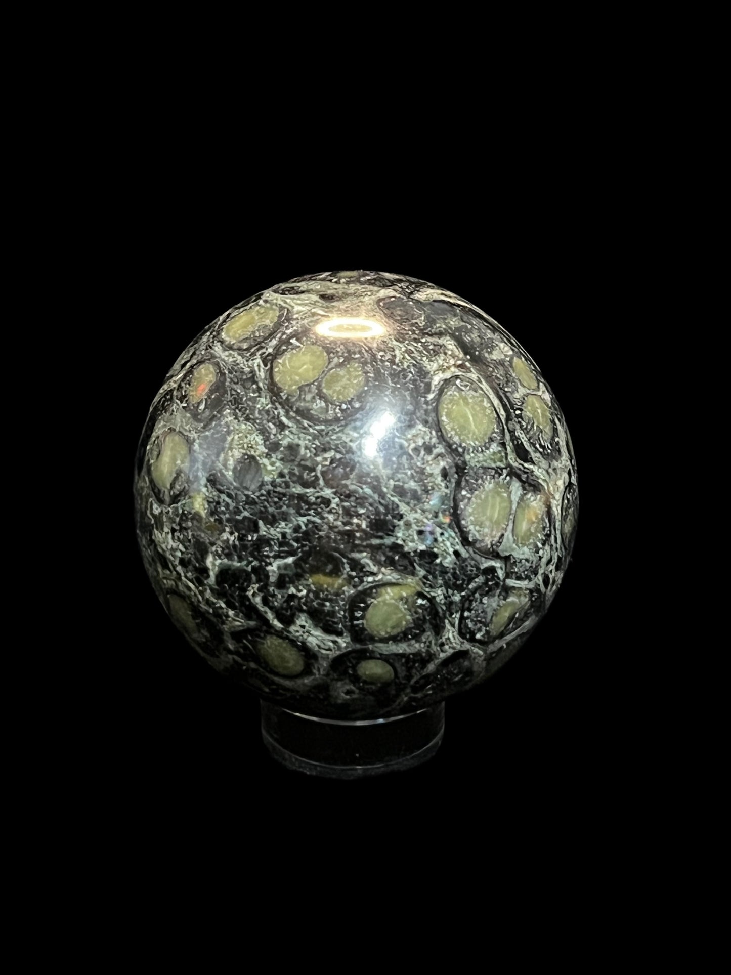 Kambaba Jasper 2 3/4 inches
