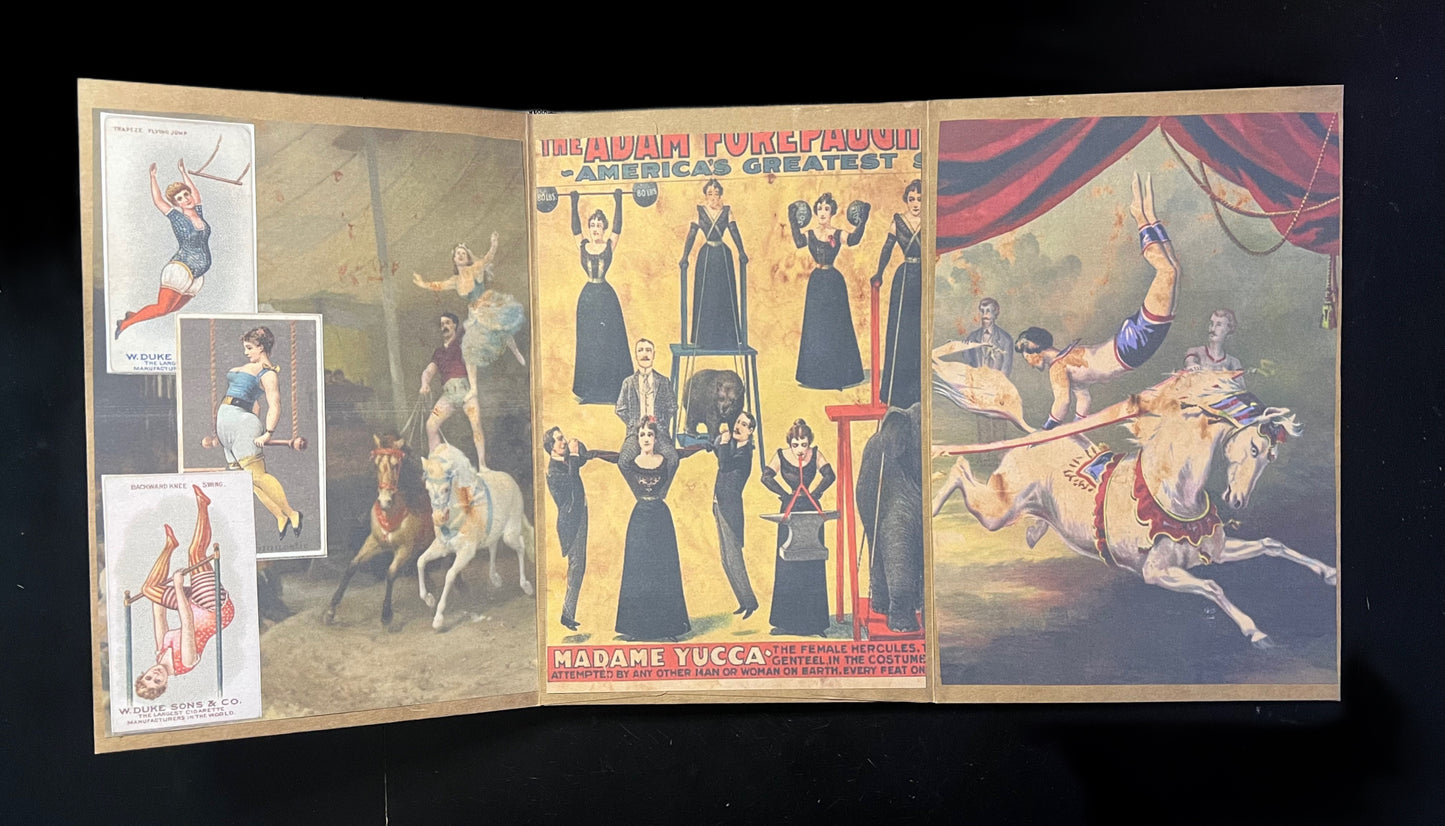Circus Journal