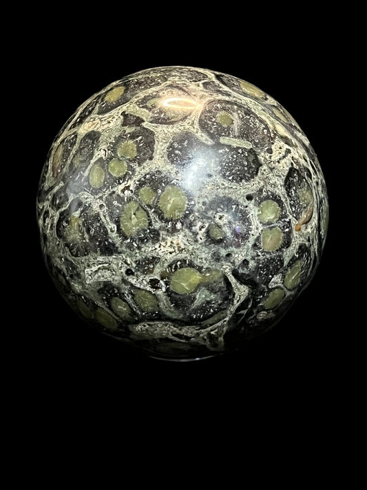 Kambaba Jasper 2 3/4 inches